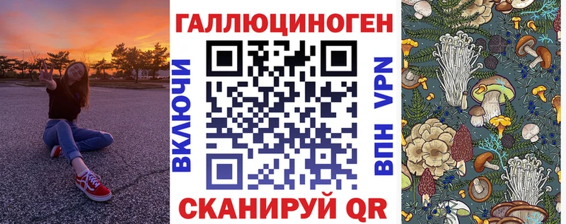 Псилоцибиновые грибы Psilocybine cubensis  Старица 
